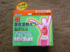 蒸気温熱パワー