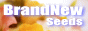 Wedding Music Selection �` BrandNew-Seeds �`