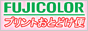 �t�W�J���[�|�X�g�J�[�h �u���C�_�� 